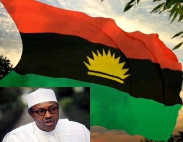 Image result wey dey for Buhari and Biafra