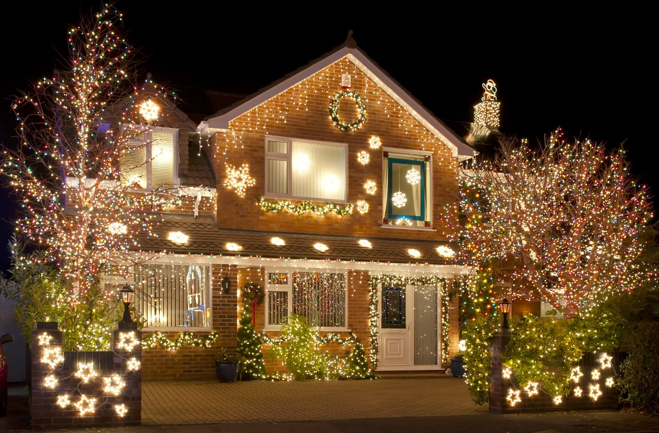 Christmas-lights-trees