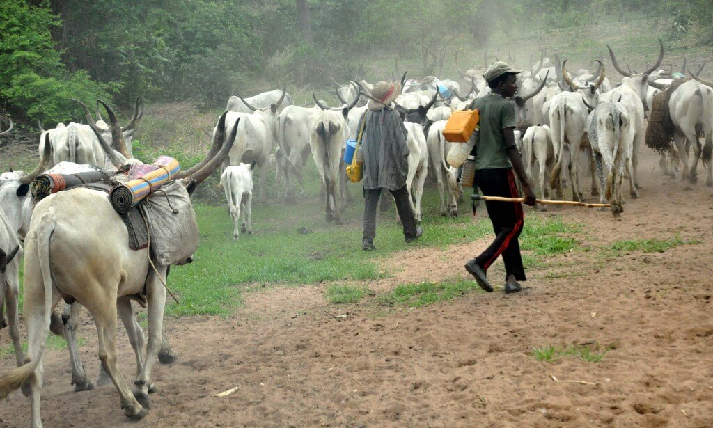 Fulani Herdsmen Grazing On Our Brothers, Sisters' Graves - Plateau ...