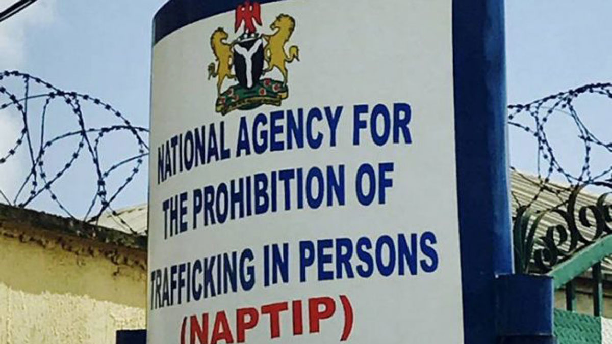 NAPTIP Arrests ‘Fake’ Reverend Sister For Alleged Trafficking 38 Children