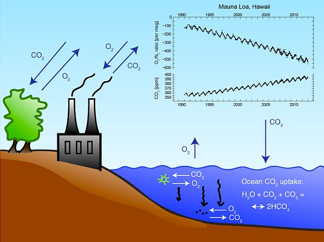 oxygen-falls-as-carbon-dioxide-rises (1)