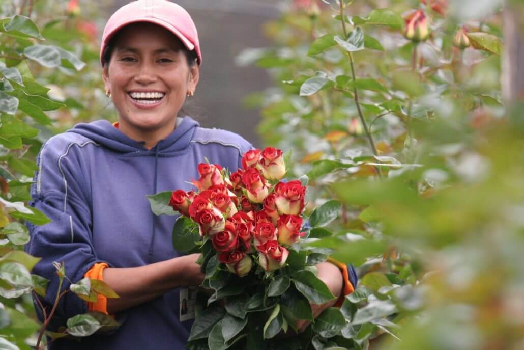 Ecuador’s-Flower-Industry