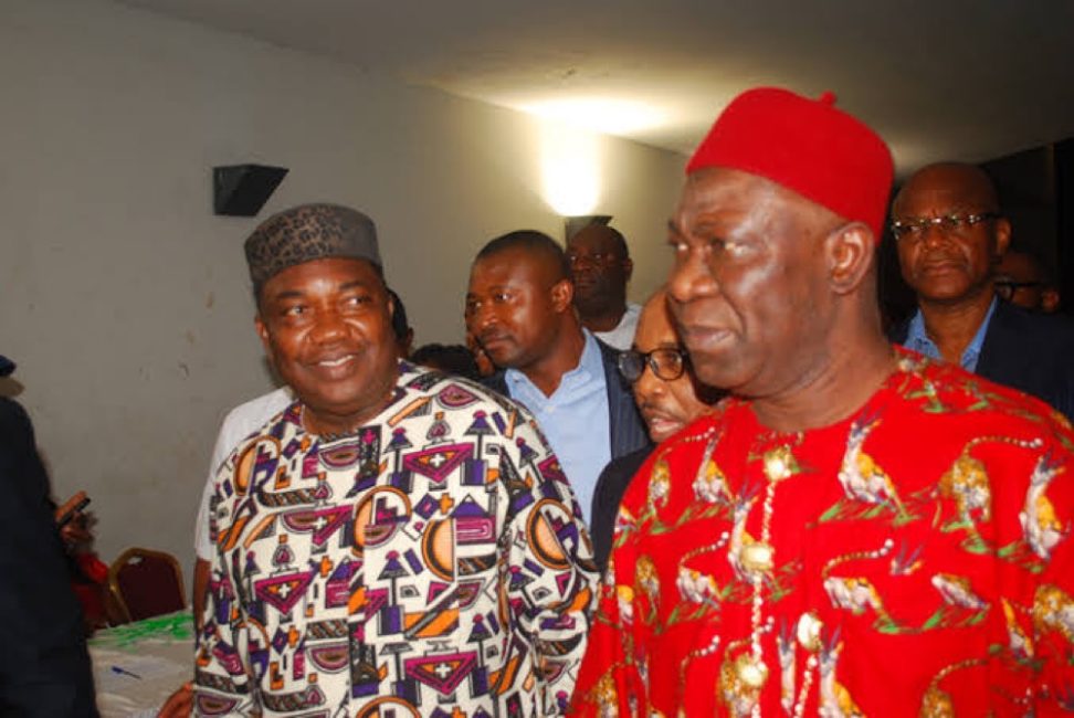 2023: Enugu Professionals In America Support Ugwuanyi On Zoning, Ignore Ekweremadu