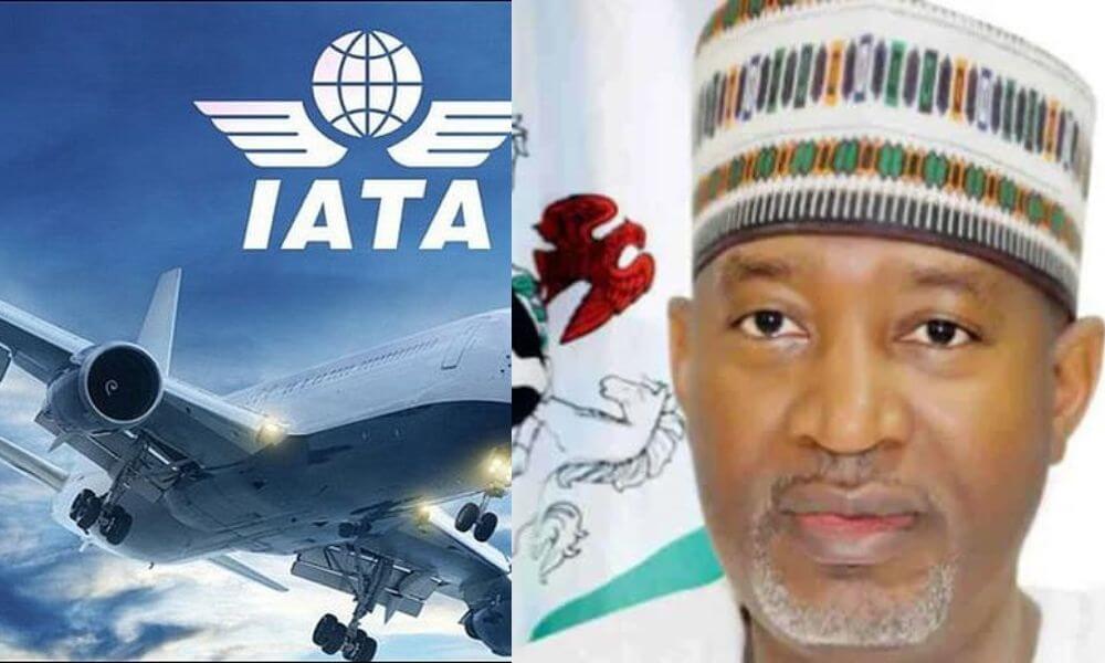 IATA, 464 Milyon Dolarlık Havayolu Gelirini Tuzağa Düşürdü veya Nijerya Ekonomisine Daha Fazla Zarar Verme Riski Aldı, IATA FG’yi Uyardı – Whistler Gazetesi