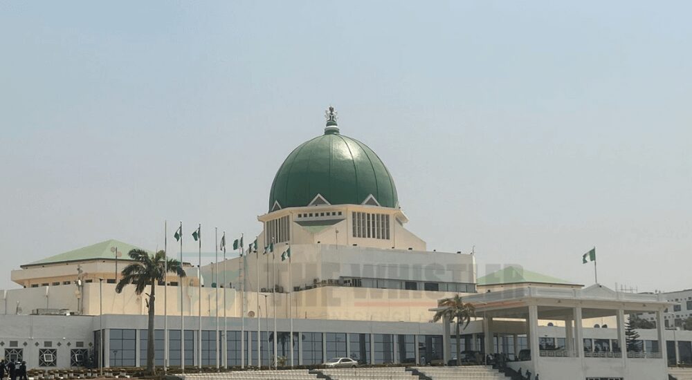 National Assembly | Nneoma BENSON