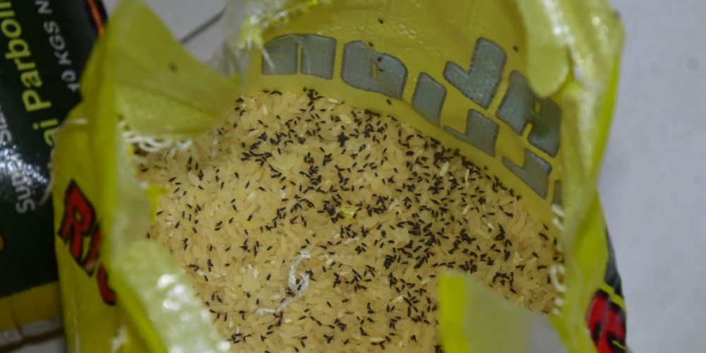 FCCPC Seals Supermarket For Selling Rice Filled With Weevils