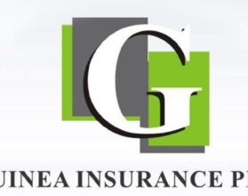SEC Approves Guinea Insurance N5.8bn Capital Raise