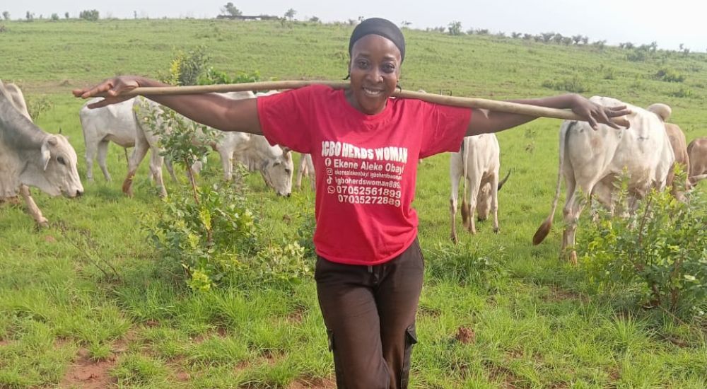 The first Igbo female herder, Obayi, with her cattle in a grazed land.