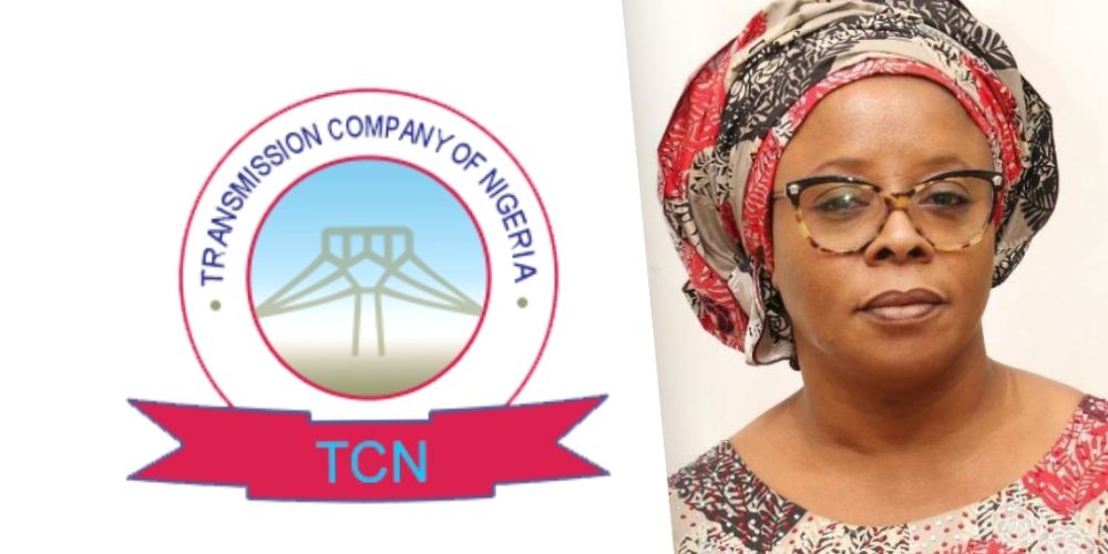 TCN Reactivates Shiroro–Mando Transmission Line