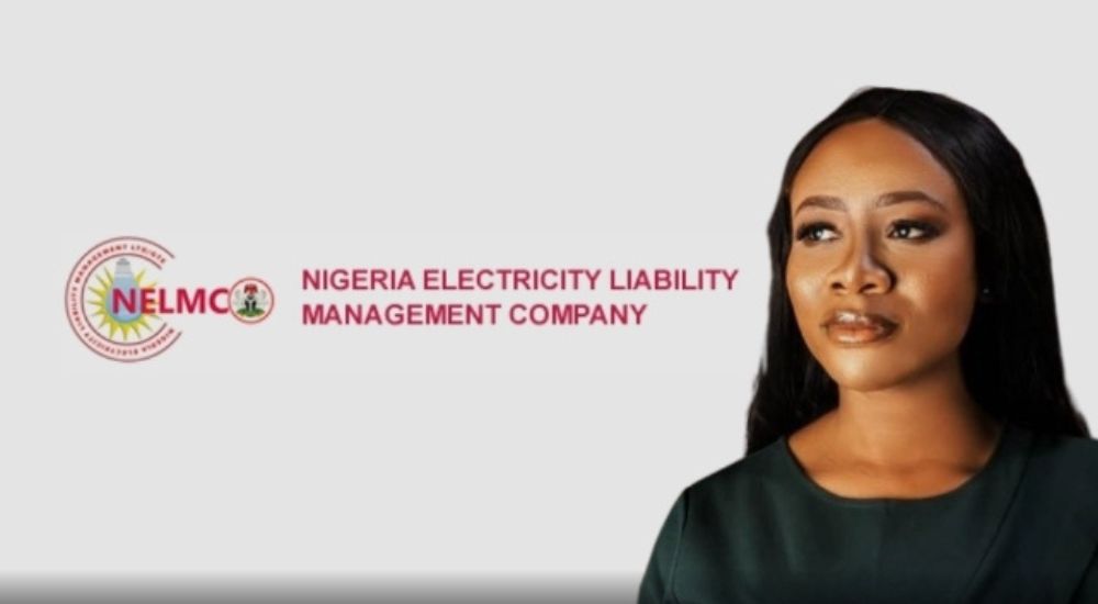 NELMCO Clears N2.16tn Debt, Reps Seek Power Funding Boost