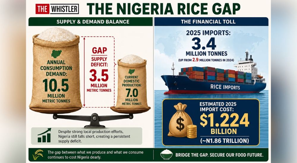 1001381713 Rice Self-Sufficiency Drive Falters As Nigeria Imports 3.4 Million Tonnes
