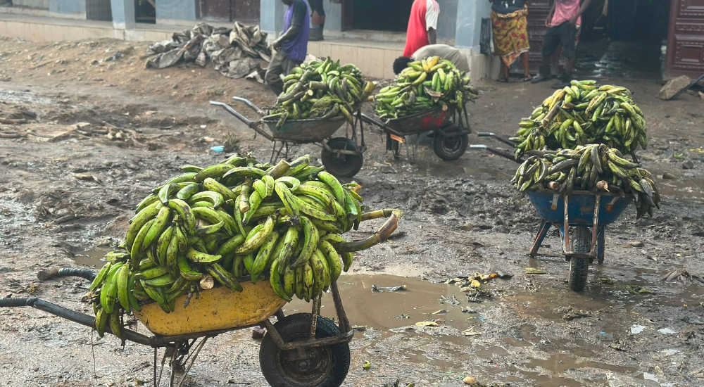 20260821 160848 0000 How Zuba Traders Generate Millions From ‘Tax’